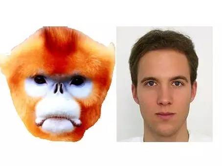 donkey_513bcee5-6984-4580-a822-75f8c4fff