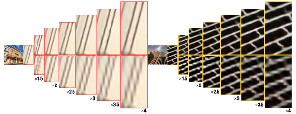 donkey_7047b048-83e8-4ea0-a54e-4f79c01aa